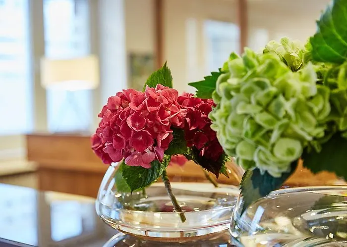 Hotel Imperial Superior - Sure Collection By Western Dusseldorf